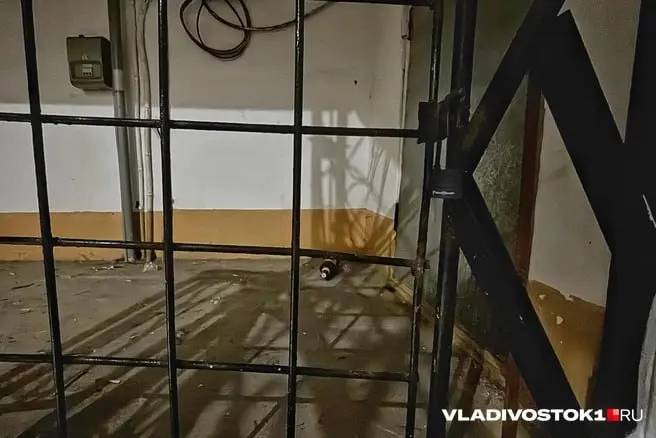 В приморском поселке Врангель суд принял решение поместить несовершеннолетних в специализированное воспитательное учреждение закрытого типа на три года; погибшая на момент преступления была 12-летней школьницей.