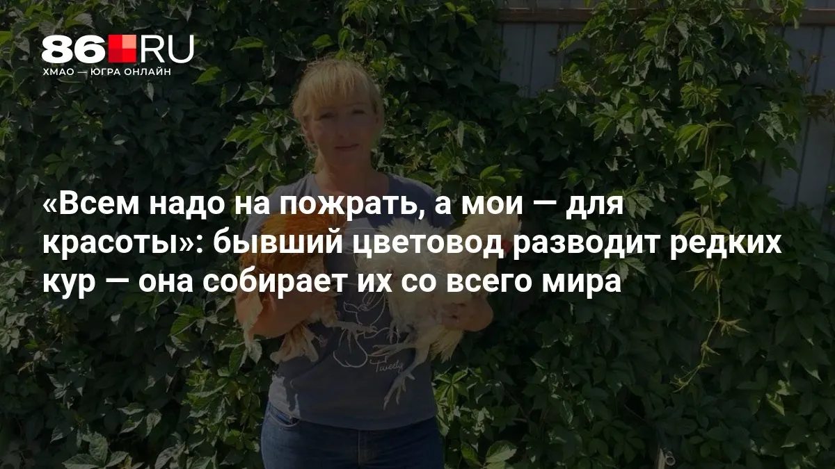 Её редкие куры участвуют в престижных международных выставках по всему миру.