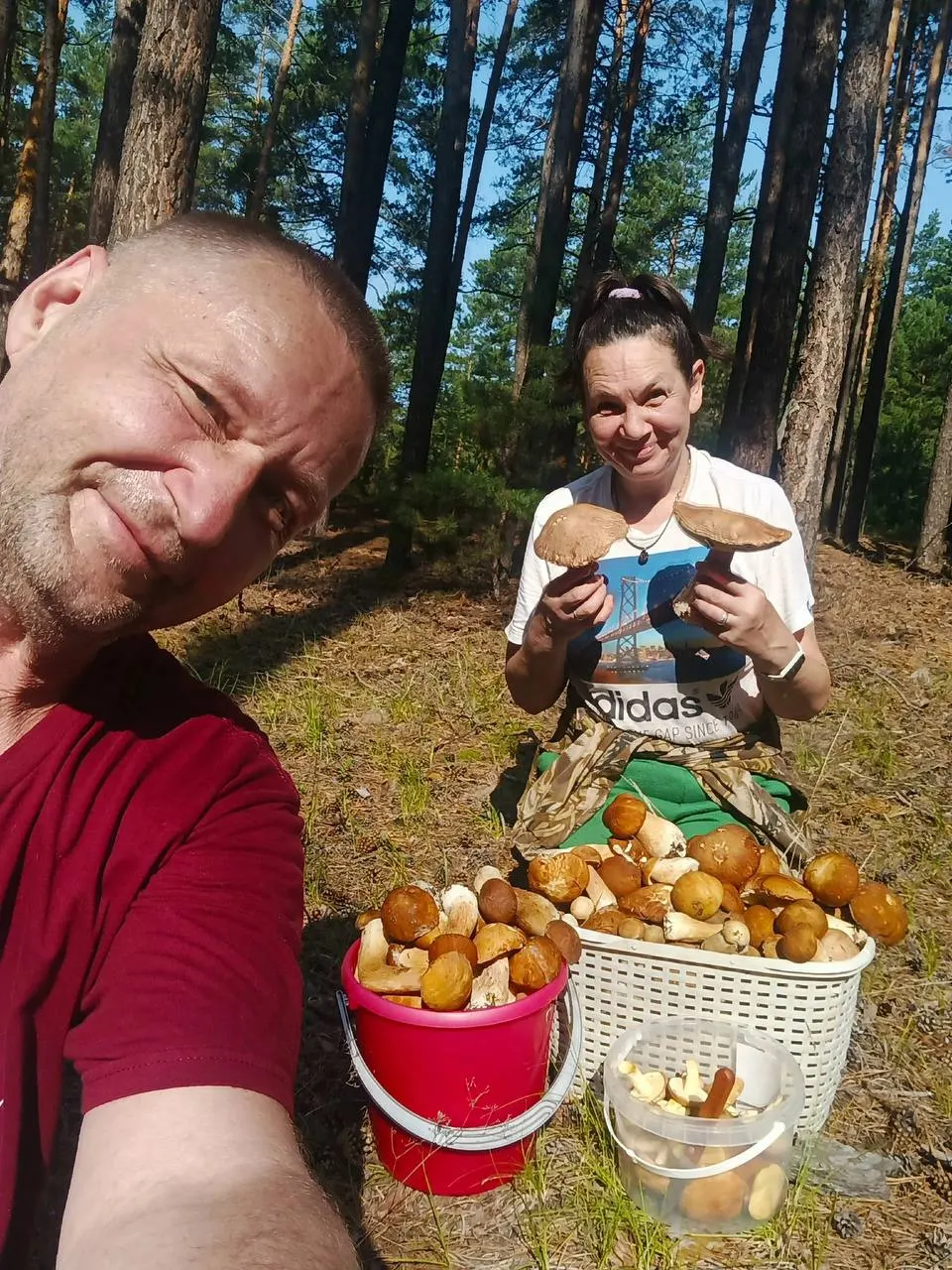 В начале августа в лесах Барнаула, Тальменского и Ребрихинского районов находят белые грибы, лисички и сухие грузди; урожай пока неравномерен.