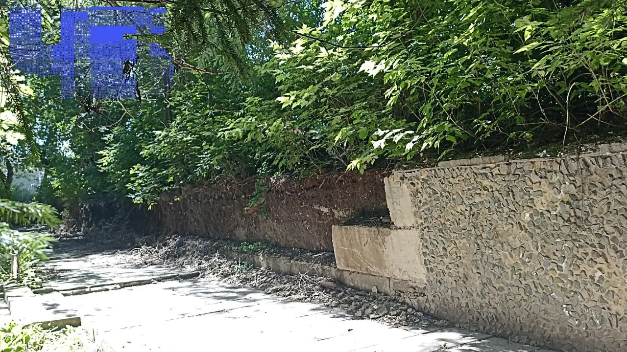 Грунт во дворе продолжает осыпаться, во дворе образуется вода во время дождей, деревья угрожают зданиям, а обращения в инстанции остаются без результатов.