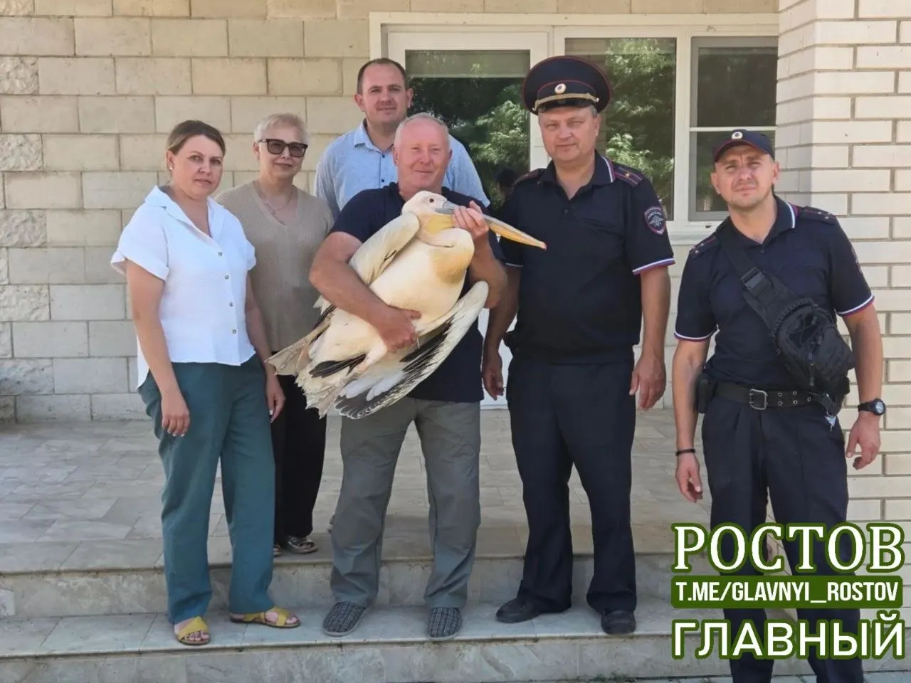 Птицу нашли сотрудники охотхозяйства; ей диагностировали повреждения и направили в Ростовский зоопарк на лечение и реабилитацию.