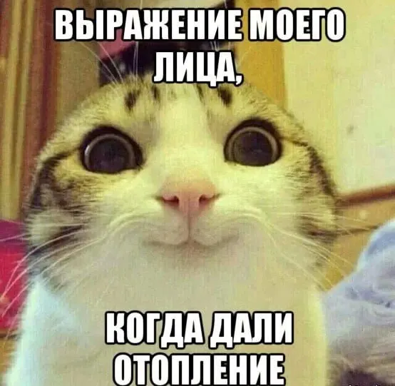 Городские службы оценивают готовность жилого фонда к отопительному сезону: примерно 7000 из 8248 домов приведены в порядок, комиссия проверила 2127 зданий.
