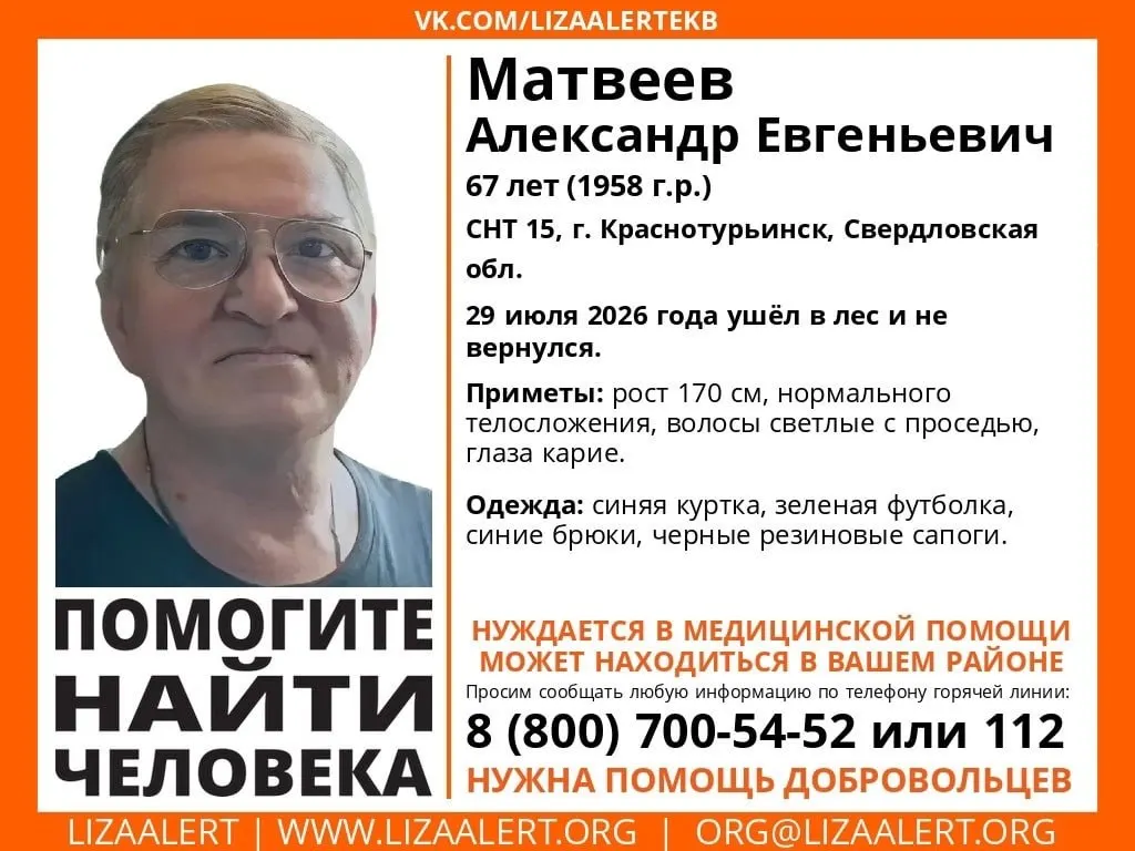 67-летний Александр Матвеев ушёл в лес 29 июля и до сих пор не найден. Поисковые операции задействуют полицию, МЧС, ЛизаАлерт и волонтёров.