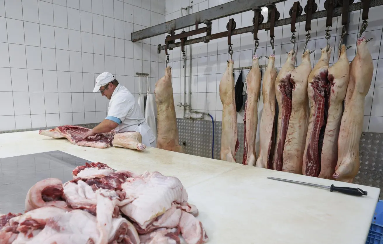 Новые меры ограничивают транзит мясной продукции и субпродуктов птицы через территорию России до завершения расследования инцидентов с нарушениями сертификации.