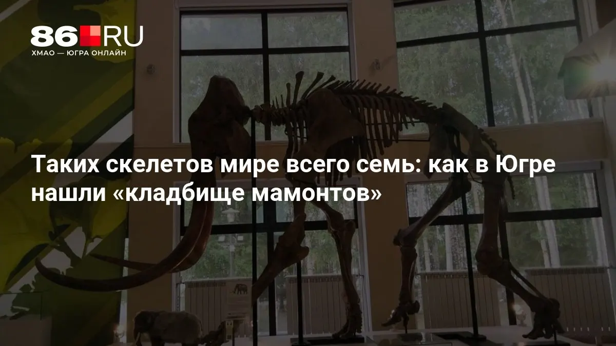 Ученые нашли останки мамонтов, которые проливают свет на экосистему региона в прошлом и помогают понять климат тех времен.