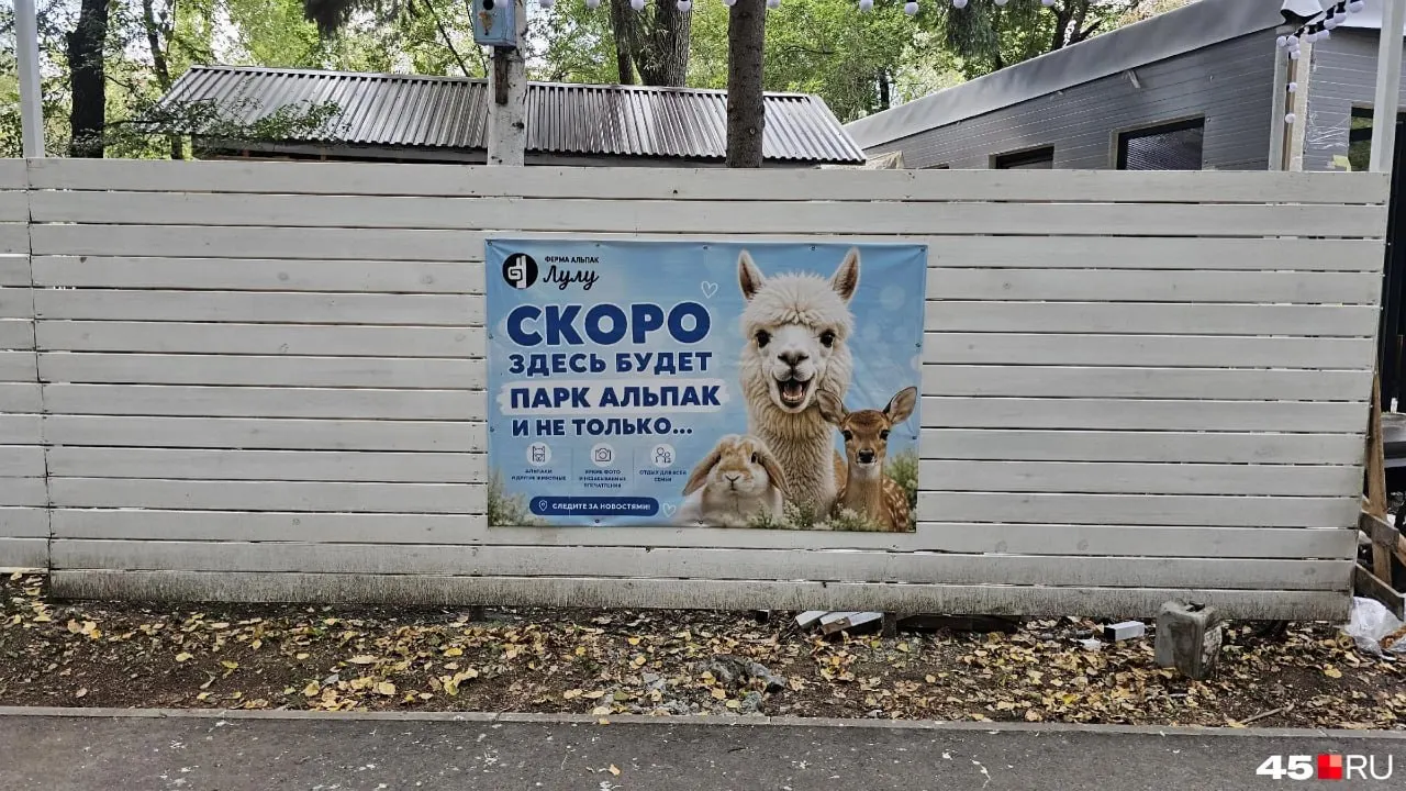В городе начнется строительство зоопарка в городском парке культуры и отдыха, где разместят около 16 животных, включая альпак и лам.