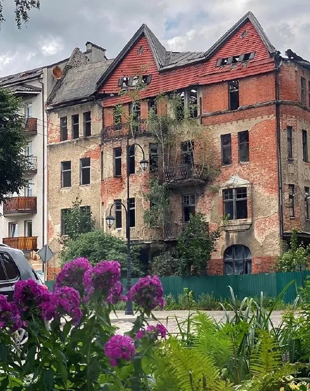 Кратко о ключевых событиях: освобождение из-под стражи, торговые планы региона, инциденты на улицах и экономические вызовы.