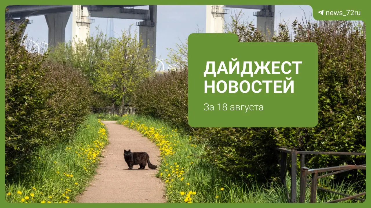 Крупные и бытовые новости города: инциденты, образование, мероприятия и городская жизнь Тюмени.