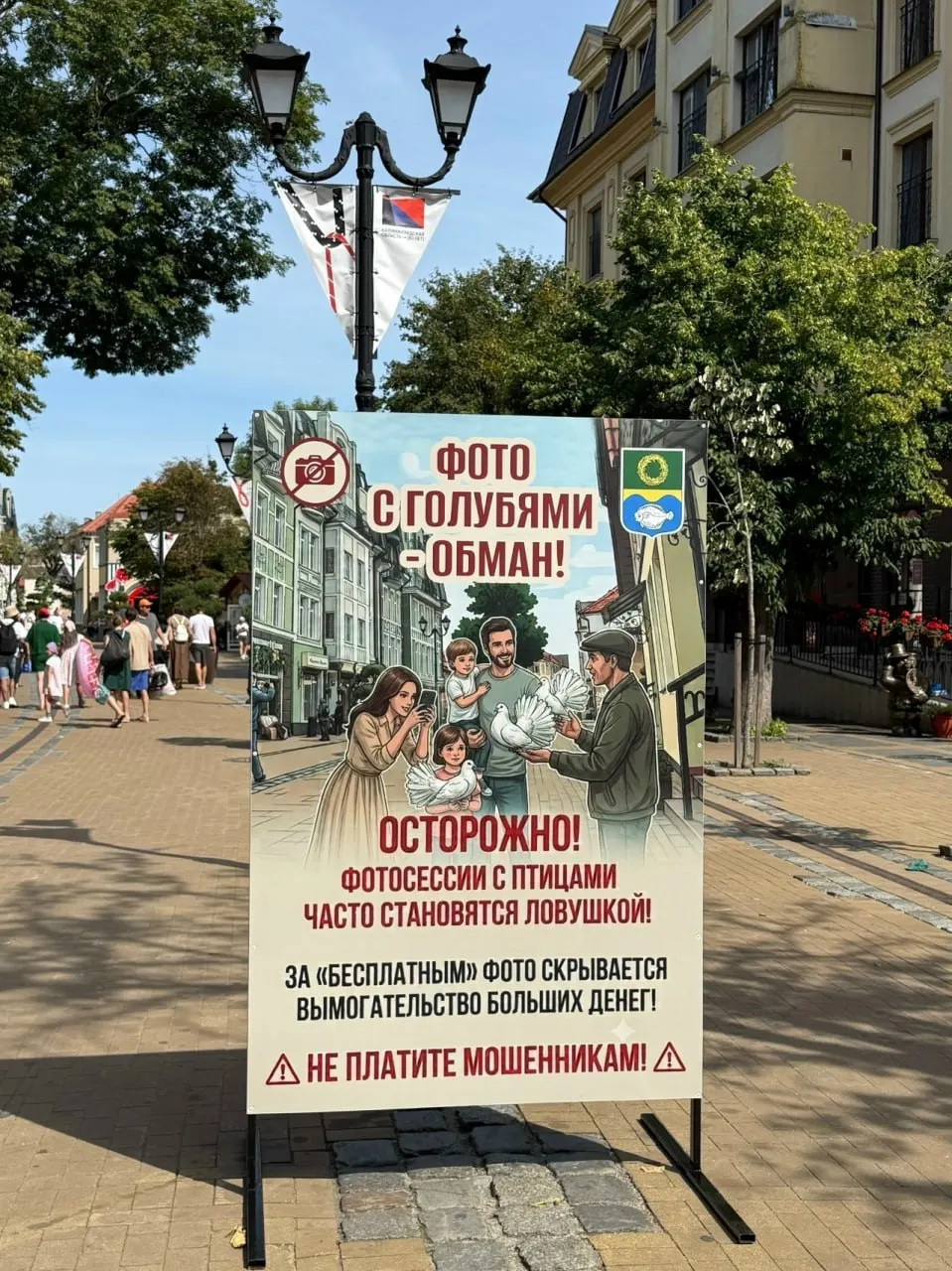 На улицах курортного города Зеленоградска появились баннеры с предупреждением о ловушках при фото с голубями.