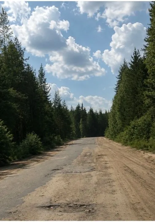 Жители Муезерского района сообщают, что дорога Тикша — Муезерский находится в критическом состоянии: перевозки на «скорой» превращаются в мучение. Люди просят проверить трассу и обеспечить доступность медпомощи.
