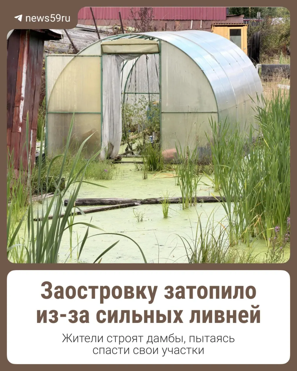 Из-за сильных ливней в регионе Заостровка поднялся уровень воды: подтоплены участки, огороды и теплицы, сохраняются проблемы с водой и откачкой.