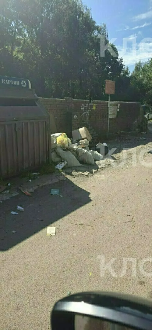 Раскрыты правила содержания площадок вокруг контейнеров, сроки вывоза мусора и ответственность за уборку. Вопросы чистоты можно адресовать управляющим организациям, нарушителей ждут штрафы.
