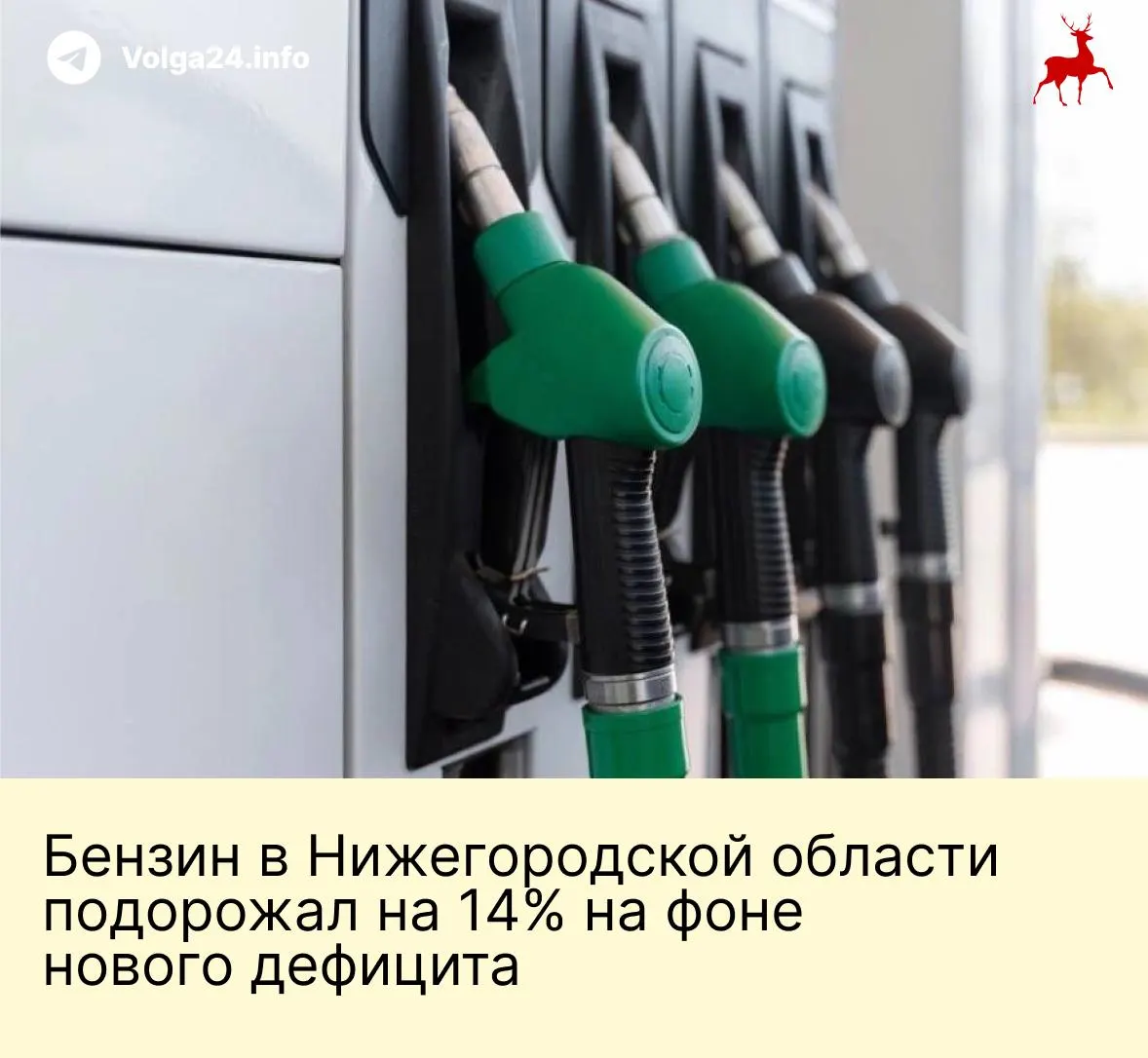 Дефицит топлива и рост цен привели к длинным очередям на заправках региона; власти задействовали волонтёров для регулирования движения.
