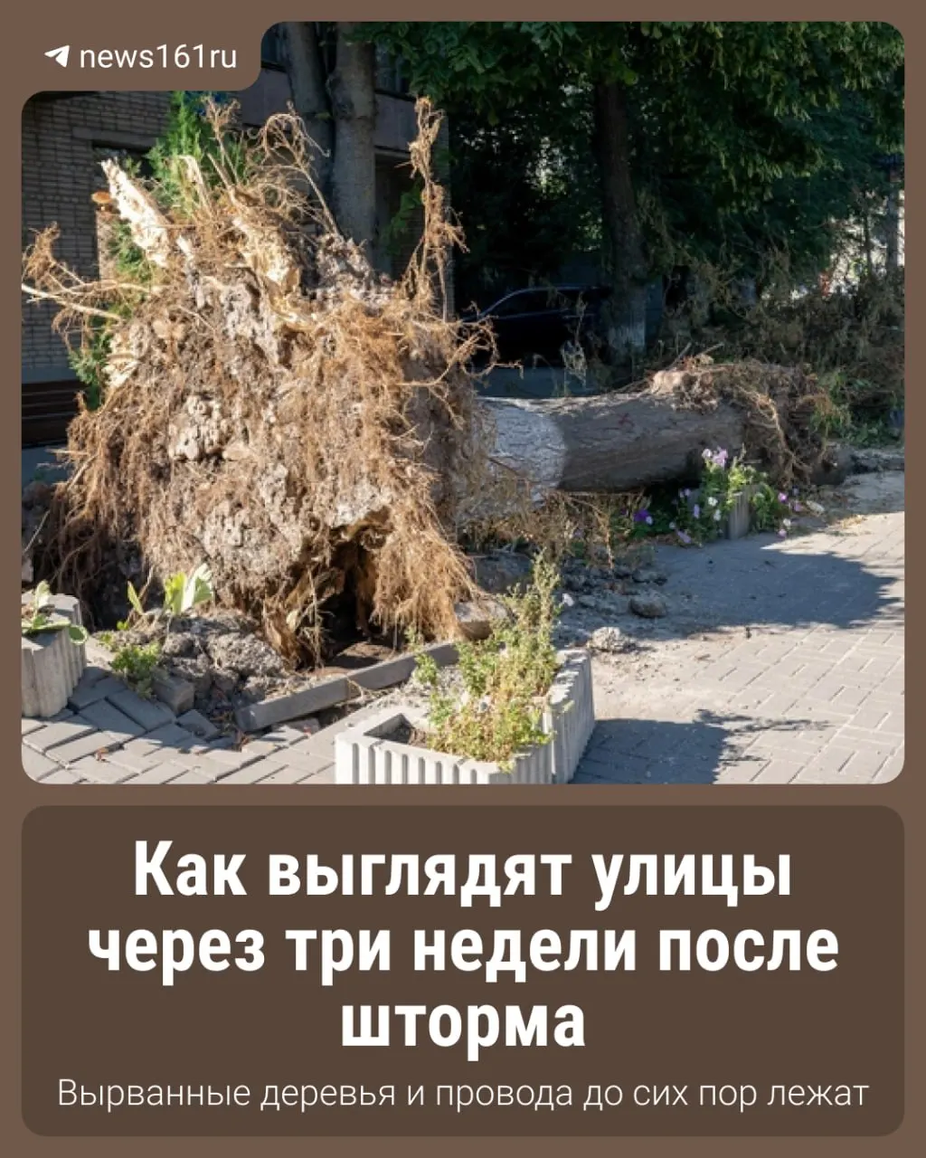 После мощного урагана в Ростове остаются заваленные деревья, кучи веток и оборванные провода; на примере района Сельмаш объясняем объем работ по ликвидации последствий.