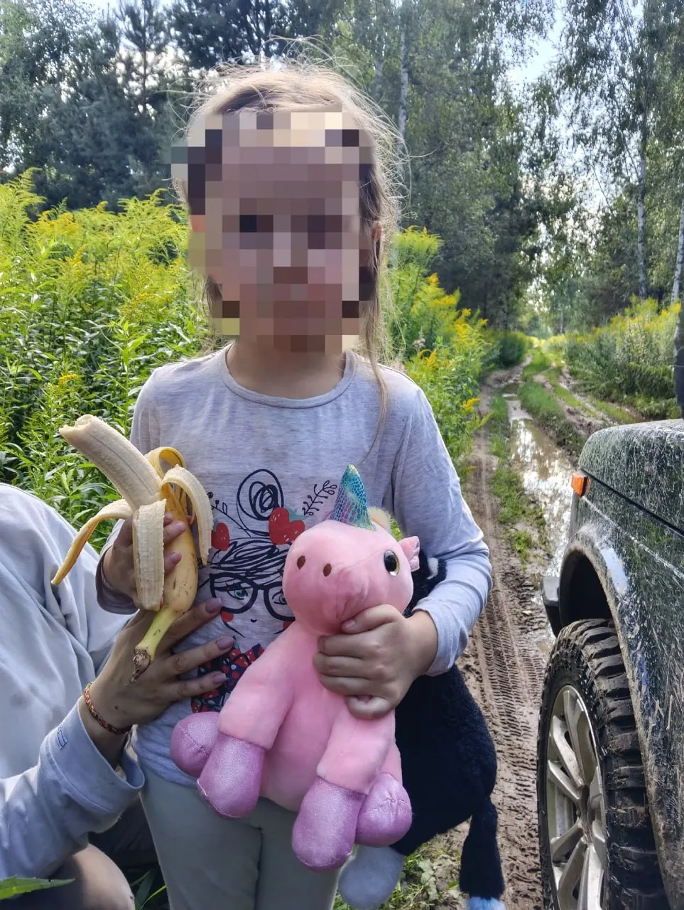 Пятилетнюю девочку нашли на дороге возле леса в Нижегородской области и вернули родителям после совместной операции волонтёров и служб спасения.