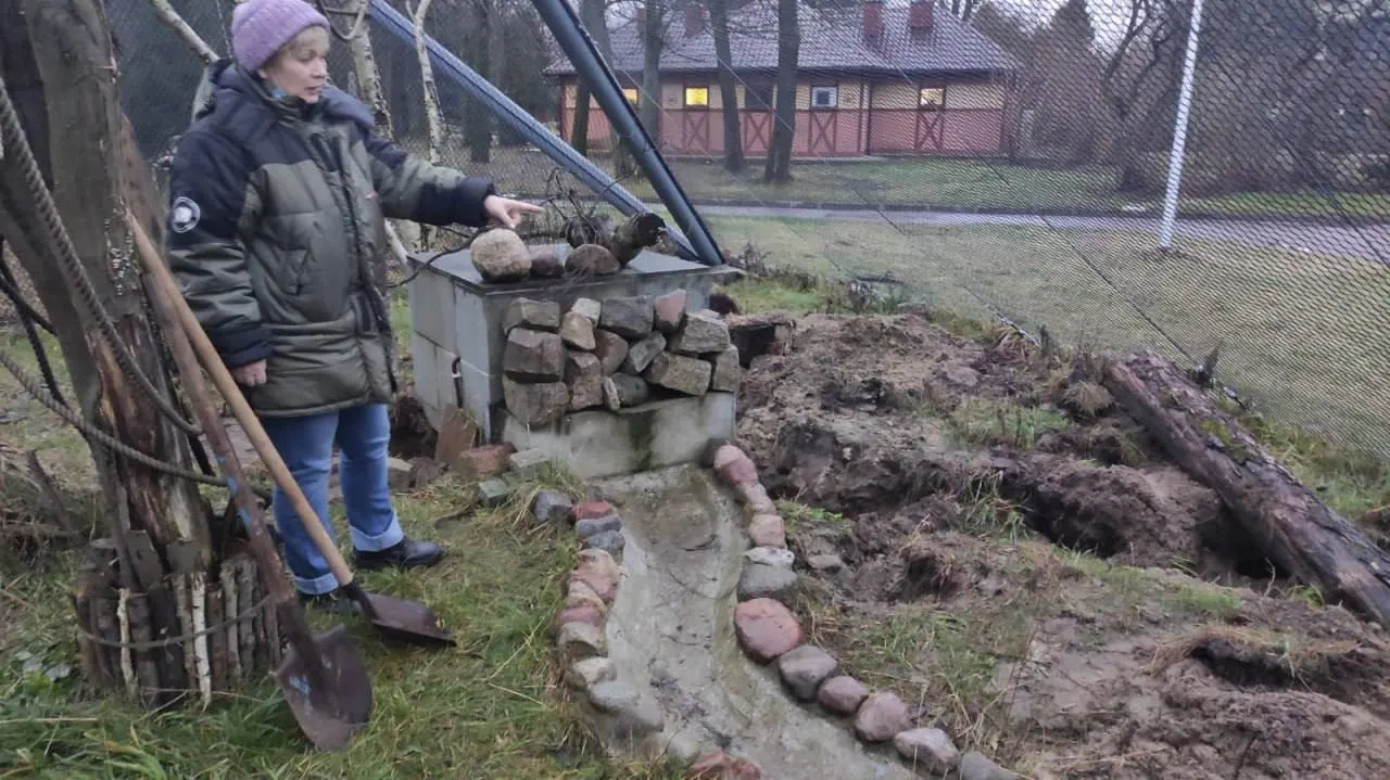 8-летний трубкозуб из Калининградского зоопарка любит дневной сон и лакомства; однажды он устроил короткий побег, но вернулся в свой вольер.