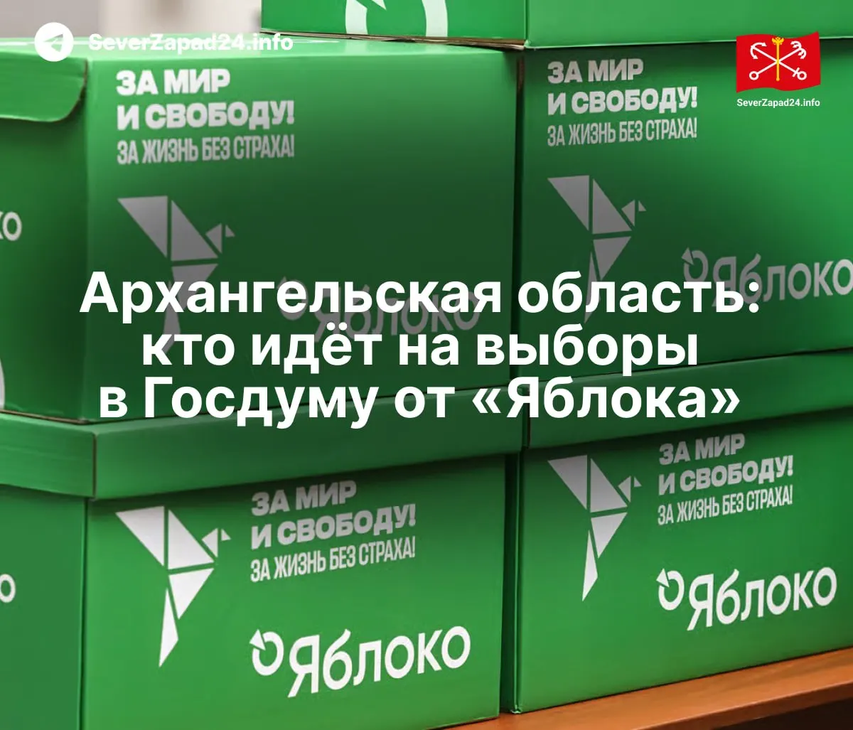 Перечень кандидатов партии «Яблоко» по Архангельской области и одномандатным округам.