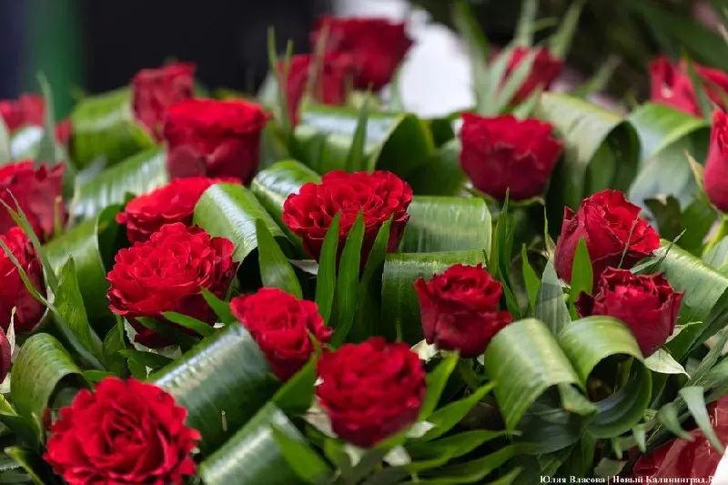 За годы акции тысячи школьников, родителей и педагогов собрали свыше 8,4 млн рублей — средства направляются на лечение и реабилитацию детей.