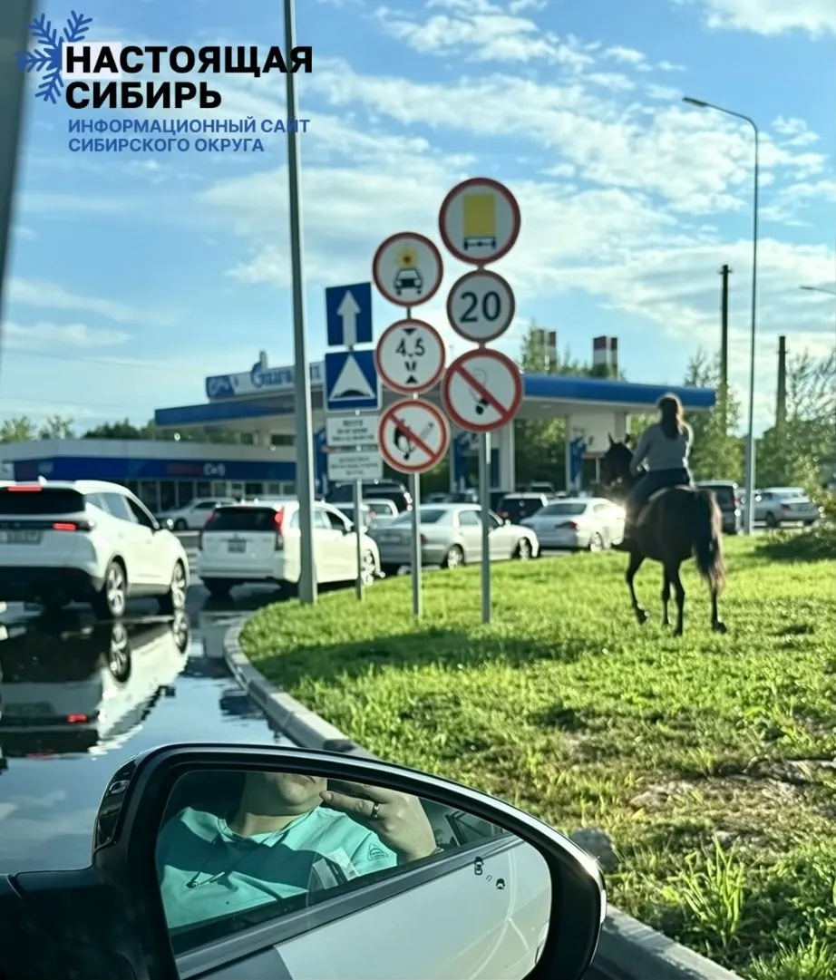 Очевидцы зафиксировали на Советском шоссе необычного посетителя заправки — человека верхом на лошади; в соцсетях шутят, что таким способом можно обходить пробки.