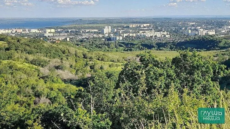 В Саратове запланирована обработка Кумысной поляны от грызунов с целью снижения риска передачи геморрагической лихорадки.