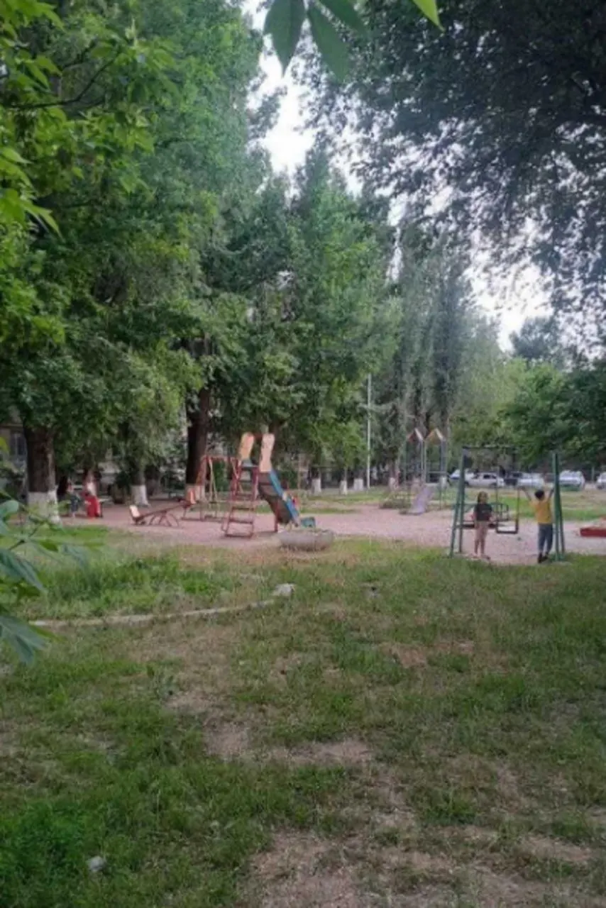 После обещаний чиновников на улице Фадеева детские площадки частично снесли; остались ржавая горка и сломанные качели. Прокуратура обязала администрацию привести площадки в порядок.