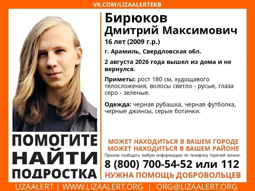 Родные предполагают, что Дмитрий мог уехать в другой город; по данным полиции, он может находиться в Саратове. Приметы: рост около 180 см, худощавое телосложение, светло-русые волосы и серо-зелёные глаза.