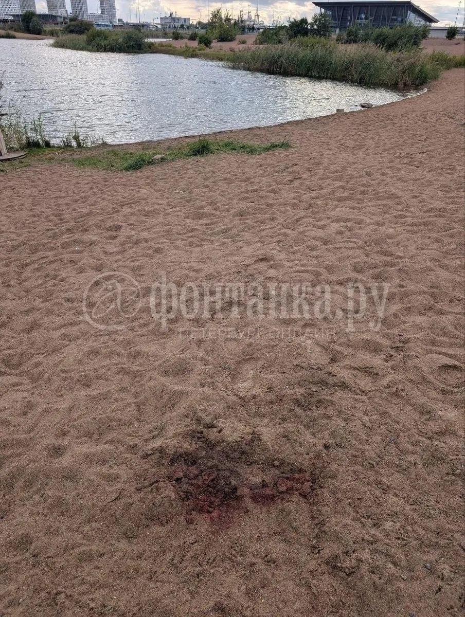 Следствие завершило осмотр пруда; тело погибшего увезли, к водоему возвращаются отдыхающие, территория огорожена, в заборе есть дыра.