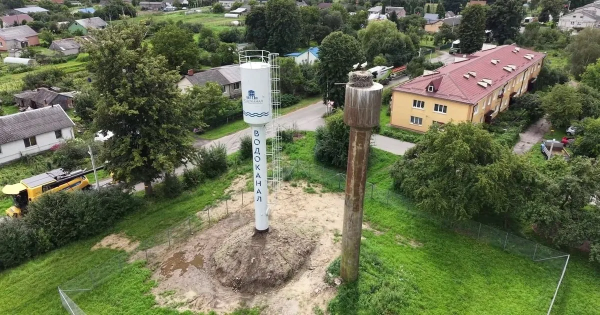 Специалисты воздвигли новую водонапорную башню для гнездящихся аистов; старую башню оставили ради птиц.