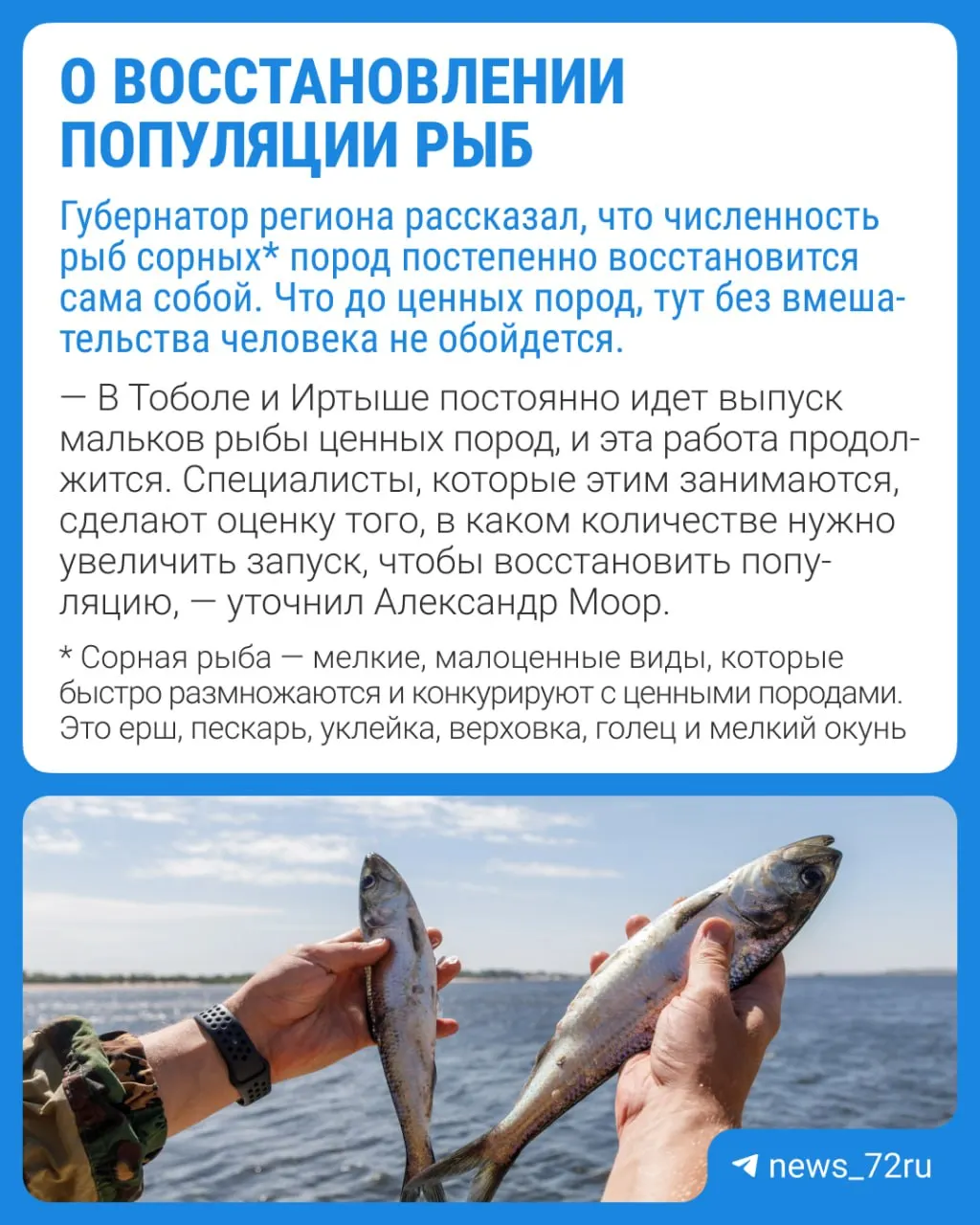 После летнего паводка и жары в Тюменской области погибло значительное количество рыбы. Власти оценивают меры по восстановлению популяции и организуют сбор погибших рыб.