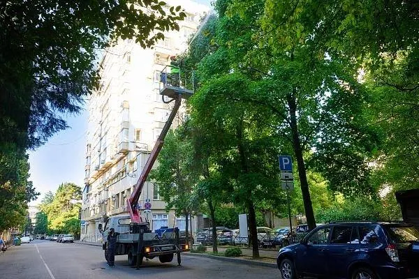 На борьбу с вредителями выделено 20 миллионов рублей, однако заявленная сумма может оказаться недостаточной.
