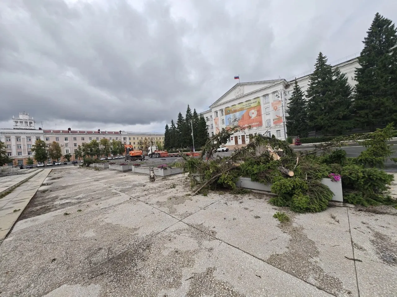 Горожане обсуждают вырубку ели на центральной площади и выражают сомнения в процессе замены.