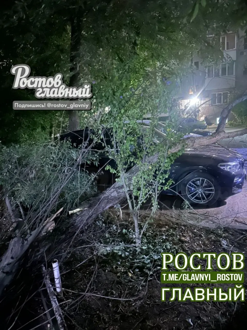 Дерево упало возле детской площадки, три автомобиля повреждены. Жители требуют быстрого устранения угрозы и проведения работ по оздоровлению территории.