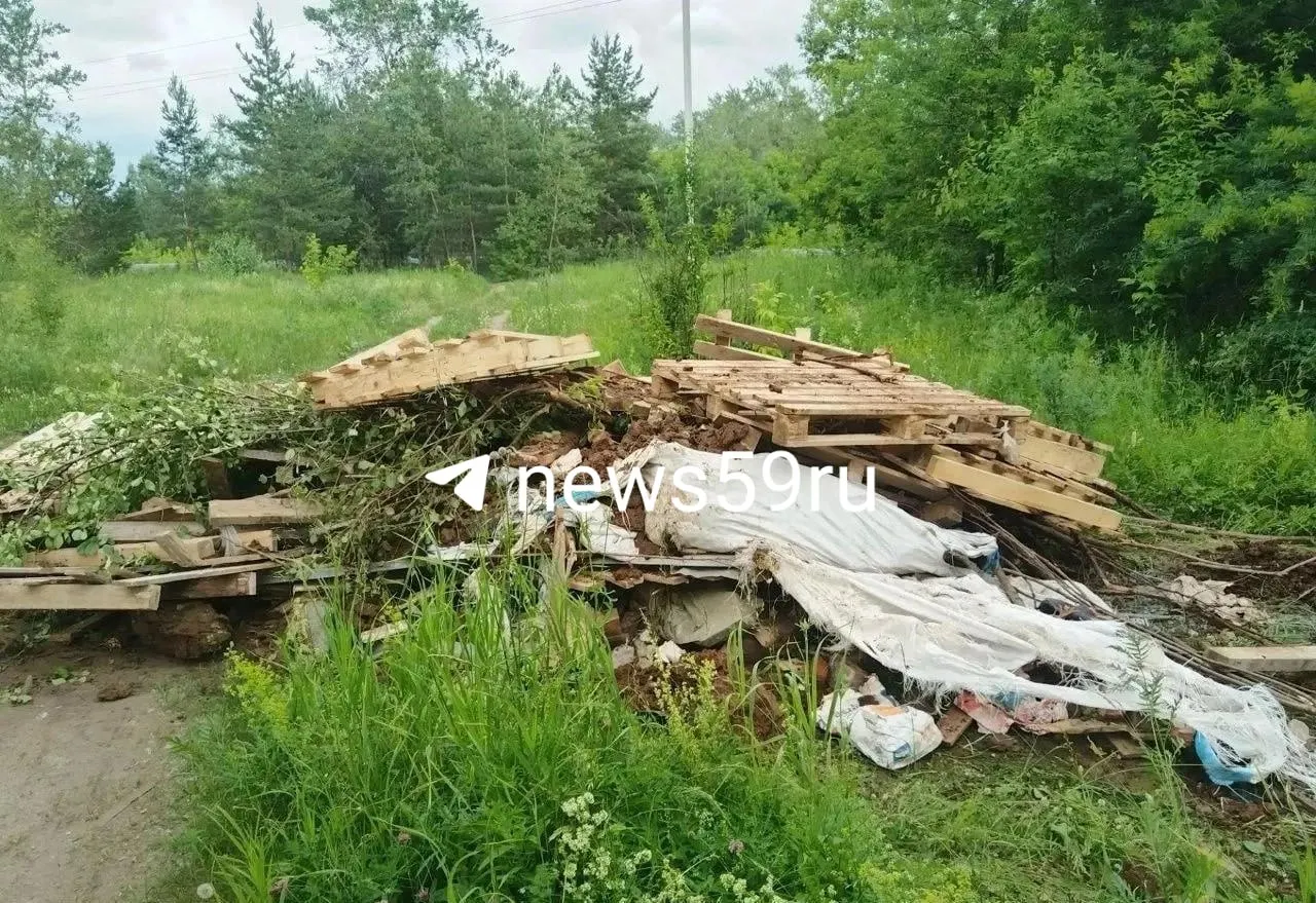 Долгие годы у жилого дома на улице Встречной сваливали мусор и снег в водоохранной зоне реки Мулянка. По итогам проверки выяснили владельца самосвала; территорию внесут в реестр несанкционированных свалок и начнется ликвидация отходов по закону.