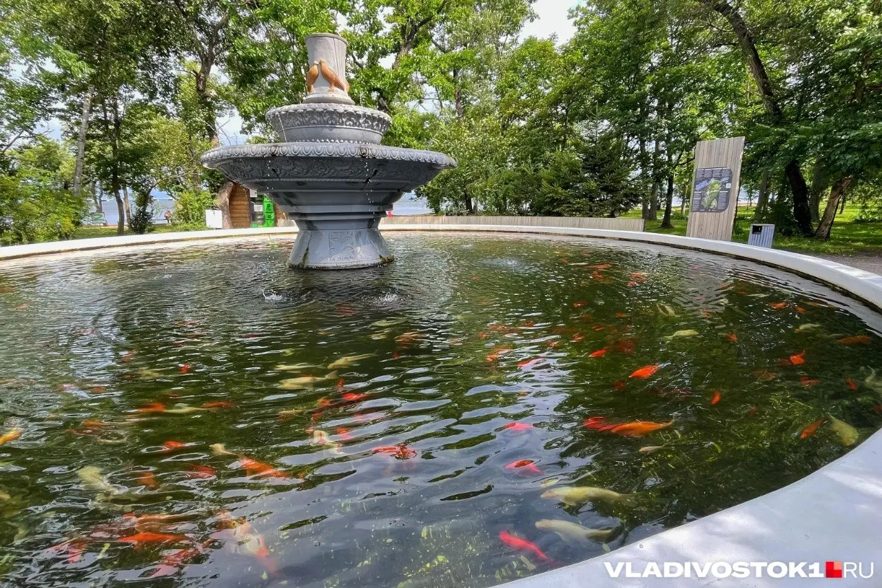 Шесть городов Приморья и один поселок стали победителями национального конкурса по созданию комфортной городской среды; региону выделят 1,2 миллиарда рублей на развитие инфраструктуры.