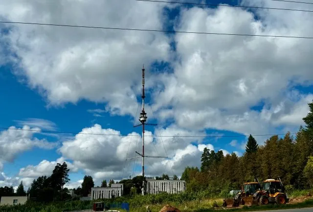 После вырубки вековых деревьев планируется застройка жилого комплекса, что вызывает тревогу у горожан. Жители требуют прозрачности и участия в обсуждении экологических последствий.