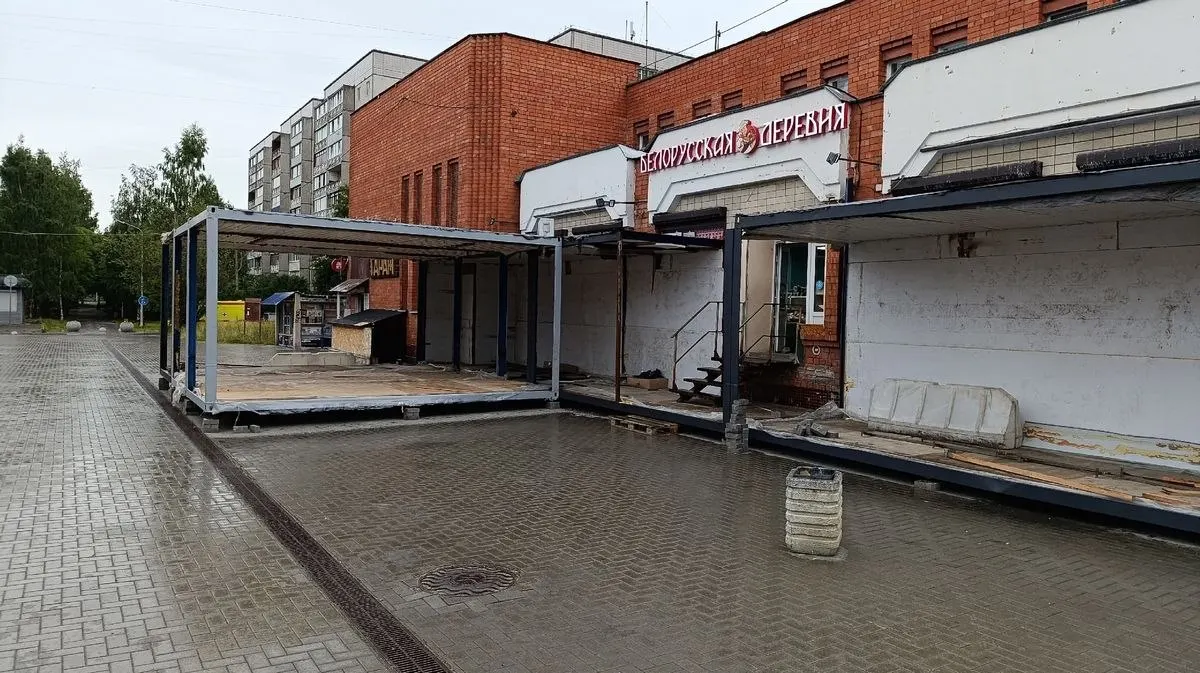 Горожанка проверила закрытый продух и обнаружила, что мама‑кошка пока может пробраться к котятам через небольшой промежуток. Жителям тревожно: если стройку продолжат, доступ закроют окончательно.