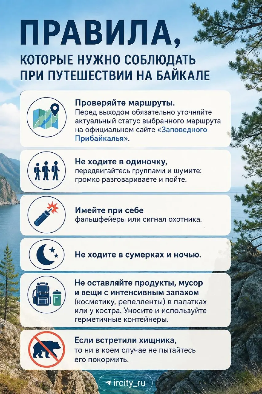 Хищники замечены в нескольких населённых пунктах и вдоль трасс вокруг Байкала; специалисты проводят рейды и предупреждают о запрете выпаса скота.