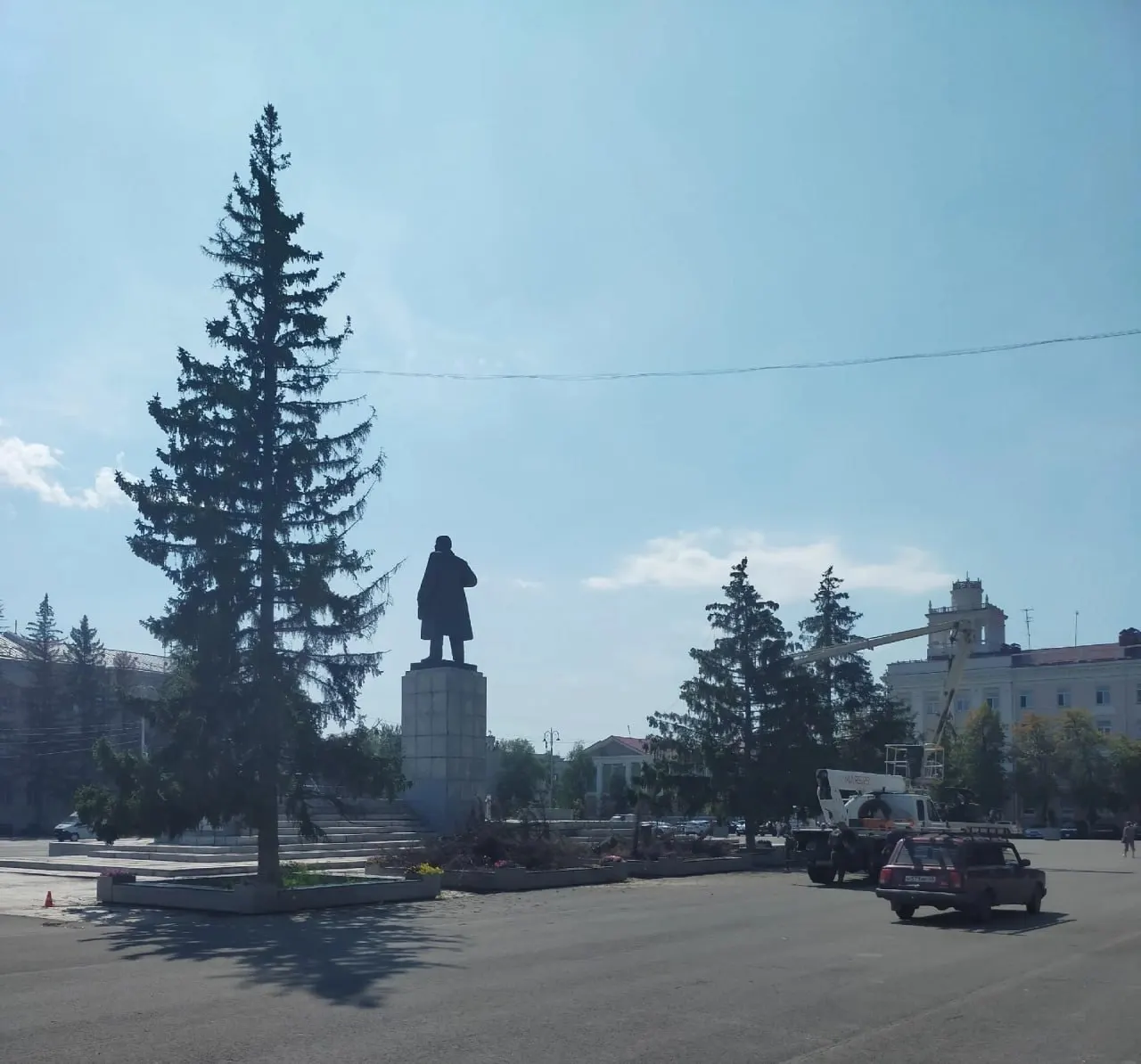 Администрация заявила, что вырублены больные деревья и на их место посадят шестиметровые ели, привезённые из питомника.