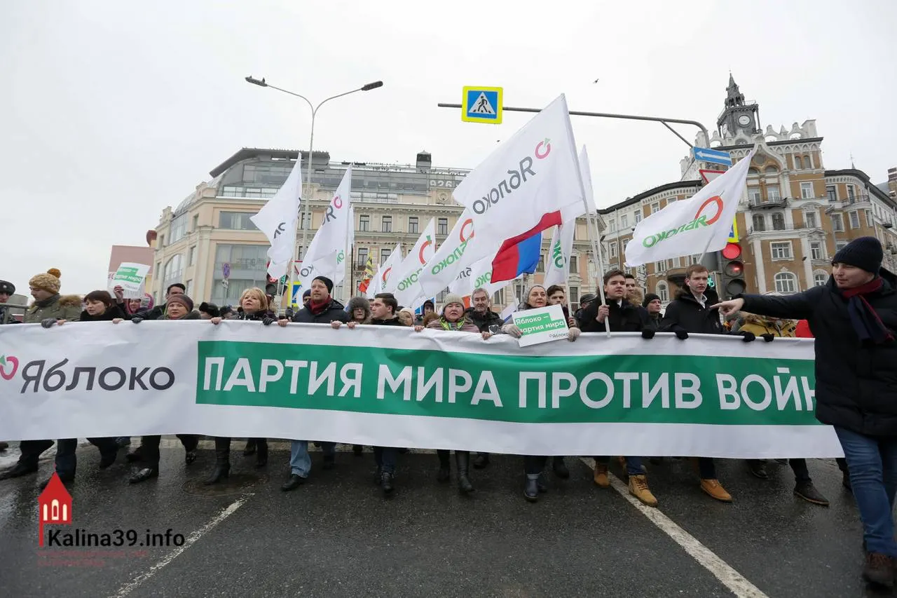 Регистрация федерального списка «Яблока» рассматривается как способ канализировать протестные настроения: партия остаётся единственным разрешённым политическим инструментом для тех, кто выступает против войны, хотя многие её известные фигуры не допущены к участию.