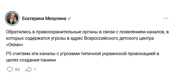 Глава Лиги безопасного интернета рассказала о мерах и возможной провокации, направленной на создание паники вокруг одного из крупнейших детских лагерей страны.