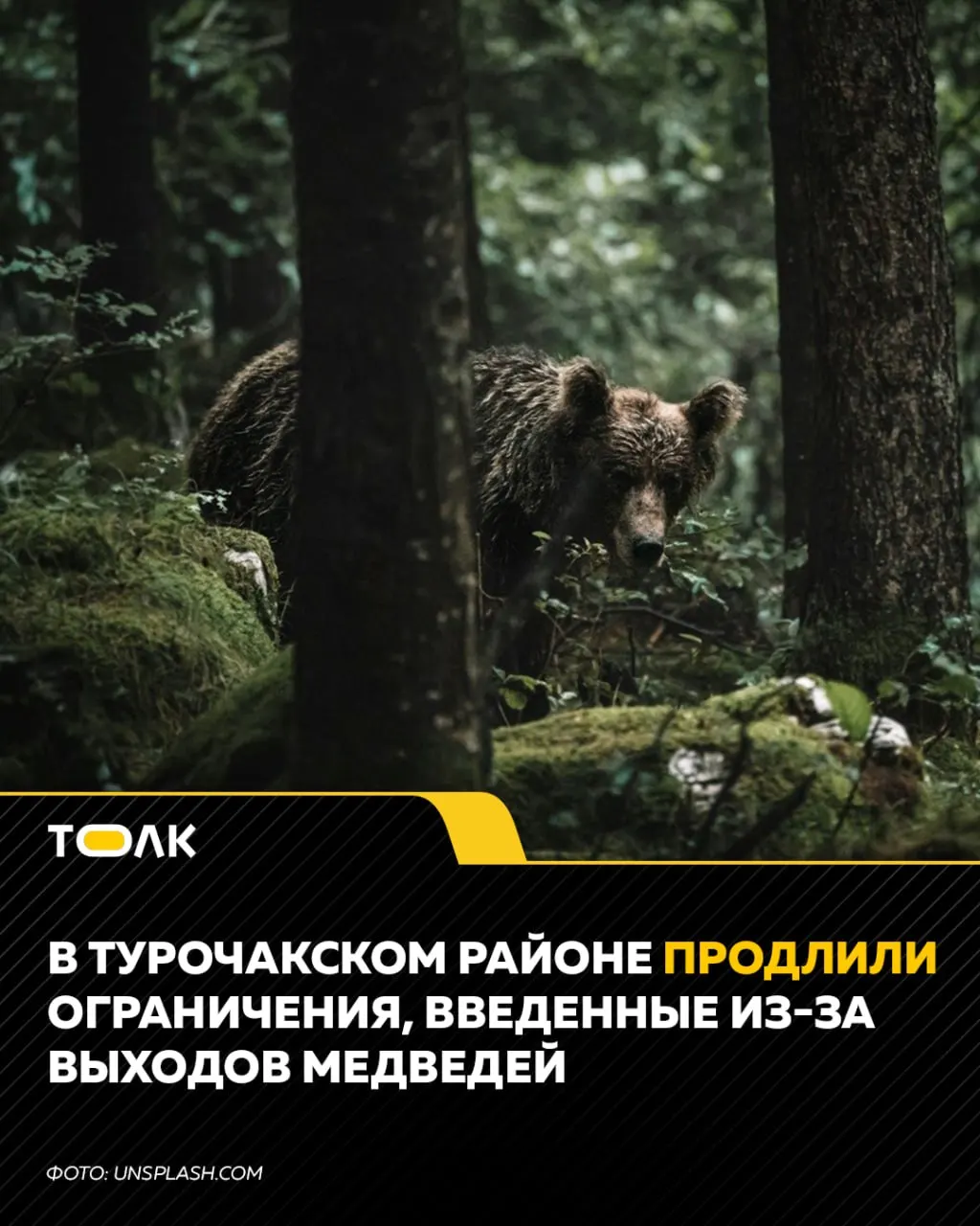 Продлены ночные запреты на пребывание на улице и лесных территориях, а также режим работы магазинов. В регионе продолжают наблюдать выходы медведей к селам Артыбаш и Иогач, что влияет на учебный процесс и транспортировку учеников.