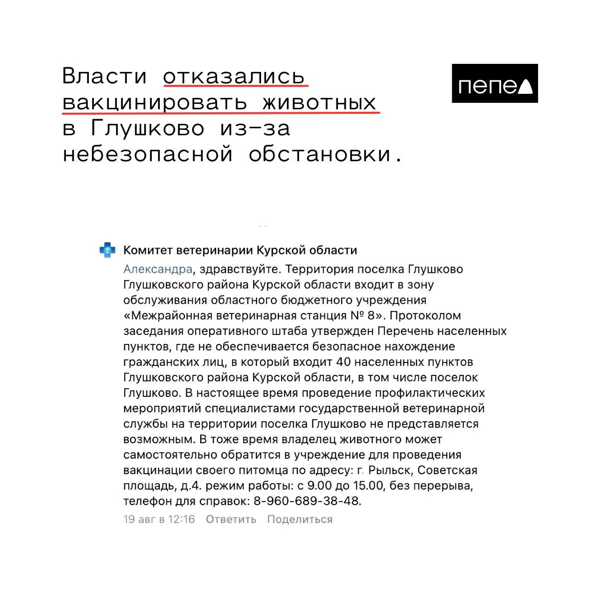 В регионе волонтёры требуют расширить ветеринарную помощь животным в приграничье; власти ограничили профилактические мероприятия.