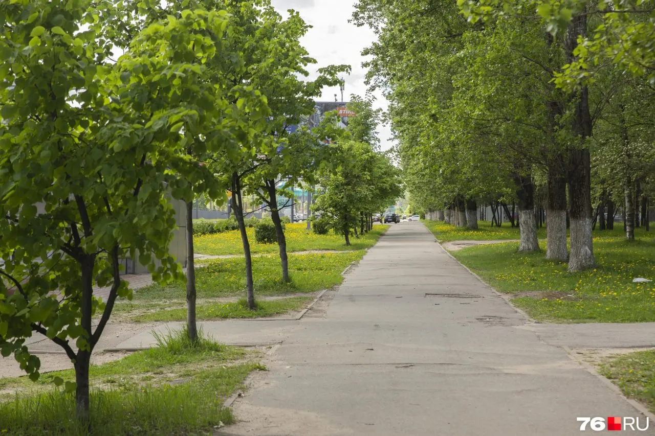 Горожане вновь обсуждают угрозу исчезновения сквера Ермакова в центре города; тема связана с действиями внешней компании и финансированием бюджета.