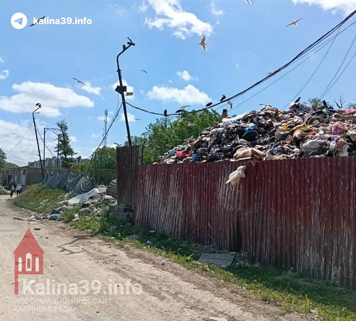 Годами рядом с жилым кварталом складируется мусор: отходы гниют, стоки просачиваются в почву и пруды; местные жители требуют убрать станцию из квартала.