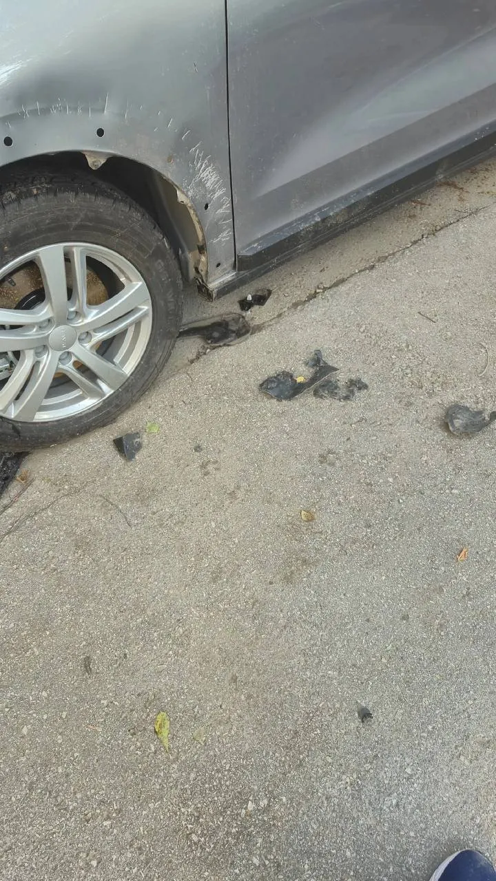 Стая собак повредила припаркованный автомобиль во дворе дома на улице Юбилейной, 36: транспорт получил вмятины, царапины и повреждения.