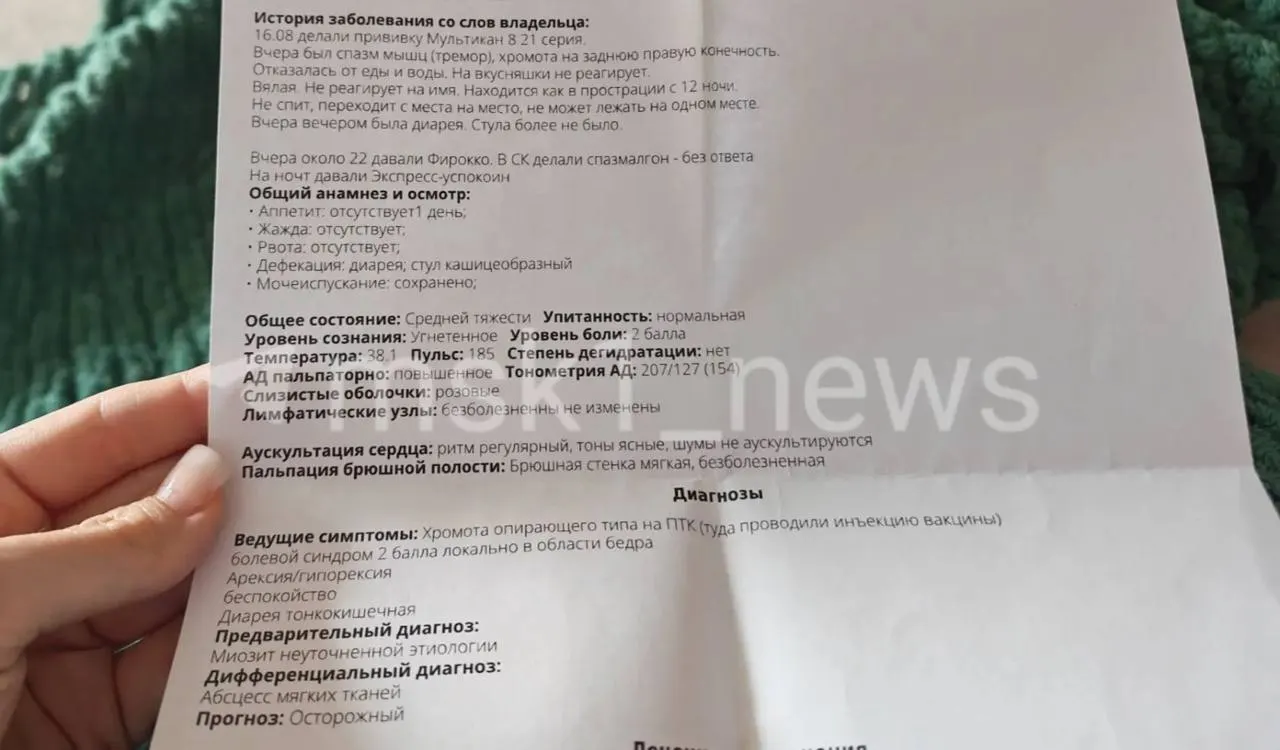 У нескольких собак после прививки возникли тяжёлые симптомы, одна погибла. Производитель вакцины сообщил об отсутствии прямой связи и проводится проверка партии.