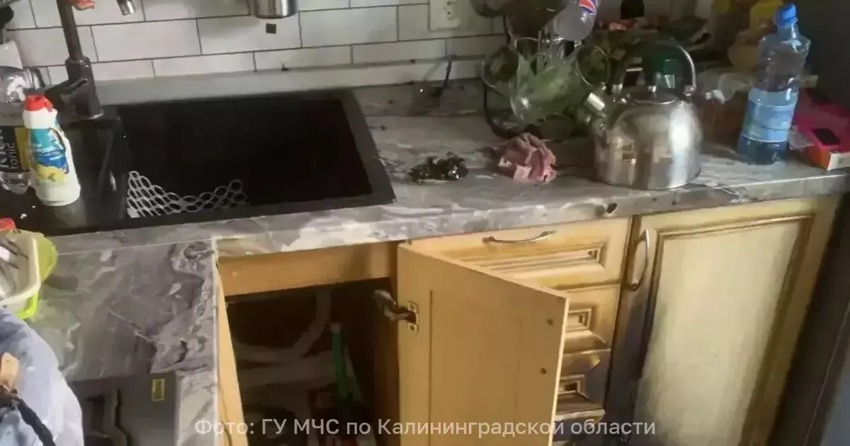 Пожар на кухне в Калининграде повредил пенсионерку; пострадавшая госпитализирована, обстоятельства происшествия выясняются.