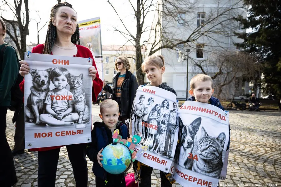 Госорганы через суд требуют прекращения деятельности хосписа для больных и старых животных, размещенного в жилом доме; владелица призывает поддержать строительство нового дома для питомцев.