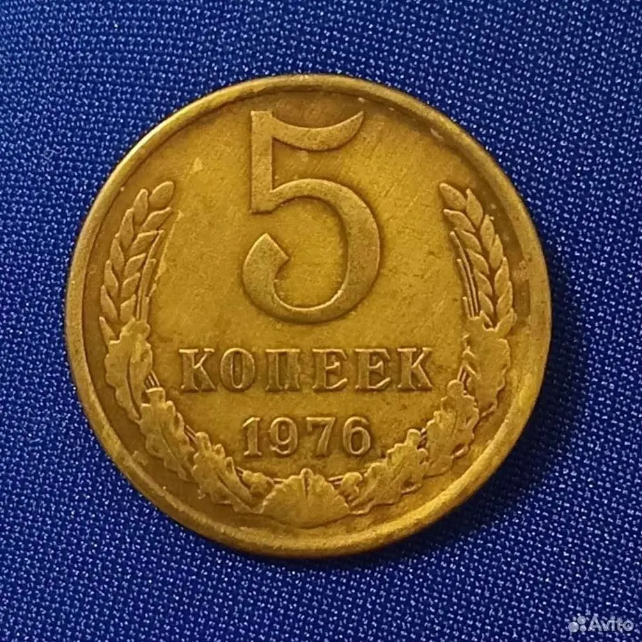 Житель Новосибирска выставил на продажу пятикопеечную монету 1976 года за 569 250 рублей; в подарок к лоту — трёхкопеечная монета 1956 года.