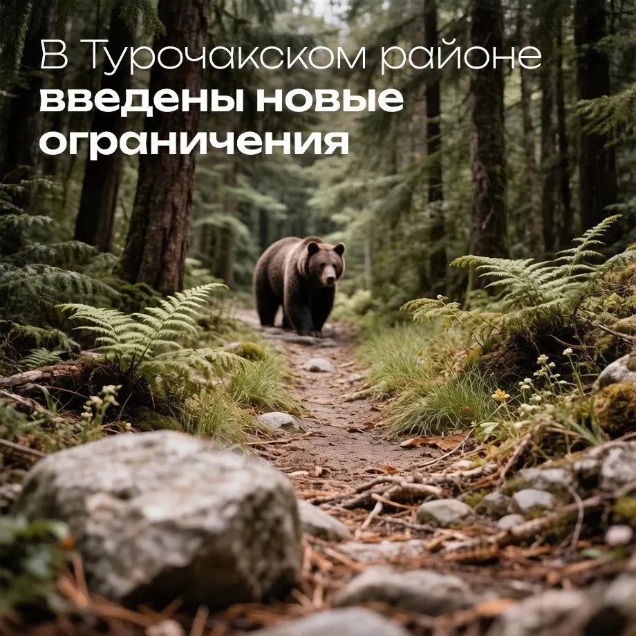 До конца сентября действует запрет на пребывание на улицах и в лесополосах с 20:00 до 09:00, за исключением экстренных случаев и служебной необходимости.